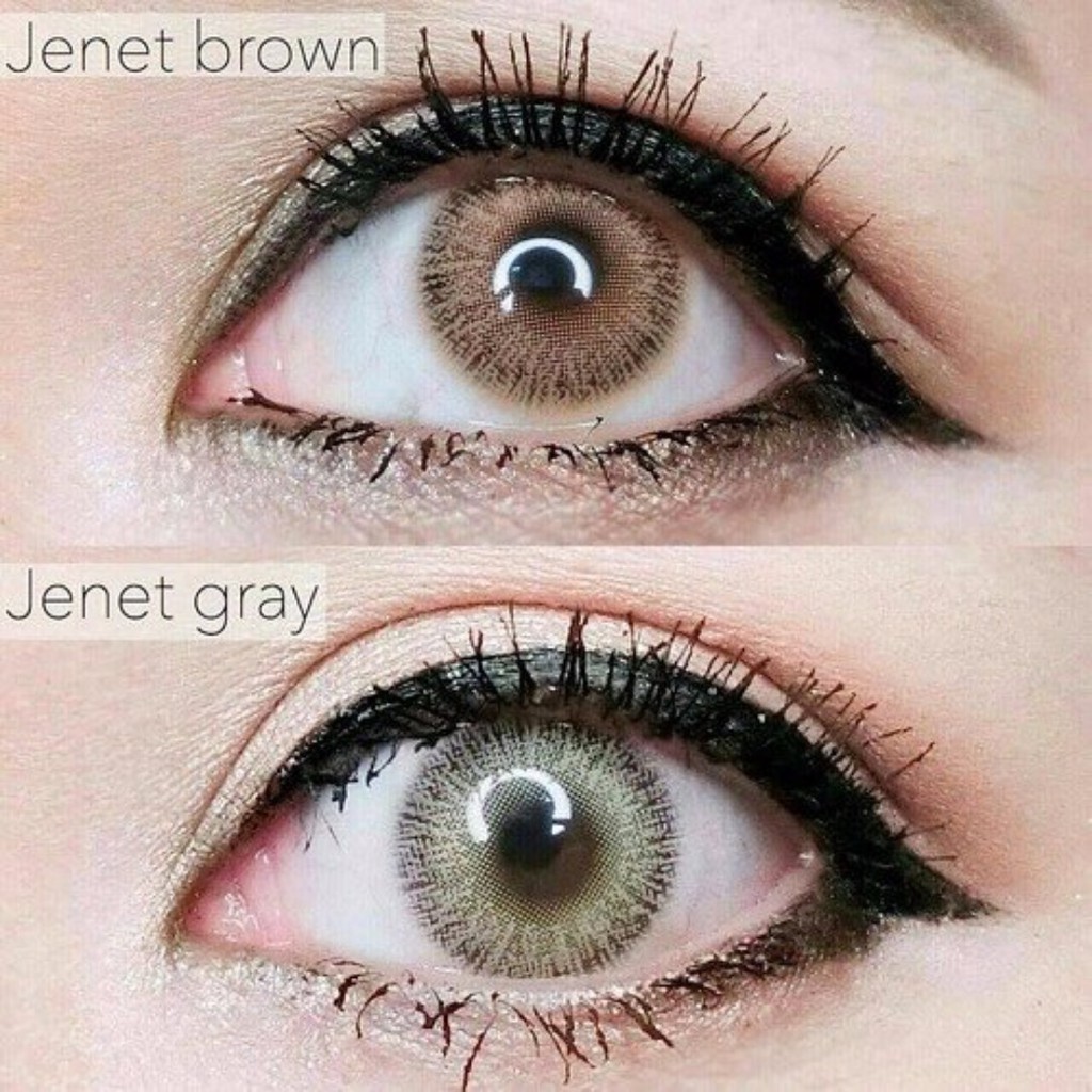 Soflens Sweety Helena Patricia Jenet Nutwara Gray Grey Brown Cherry Yellow Green Soflens Minus Murah