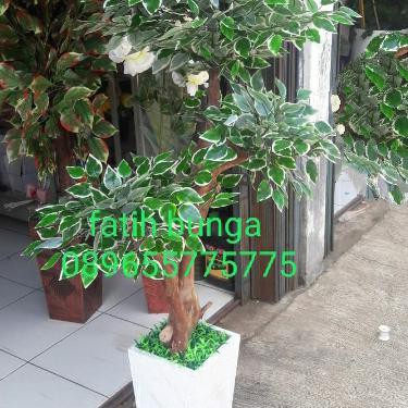 pohon bonsai beringin lis putih bunga plastik bunga hias