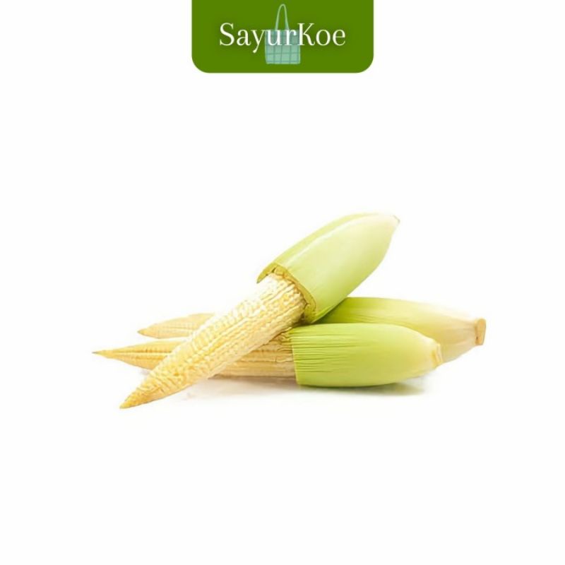 

Jagung Muda/Corn Baby Fresh