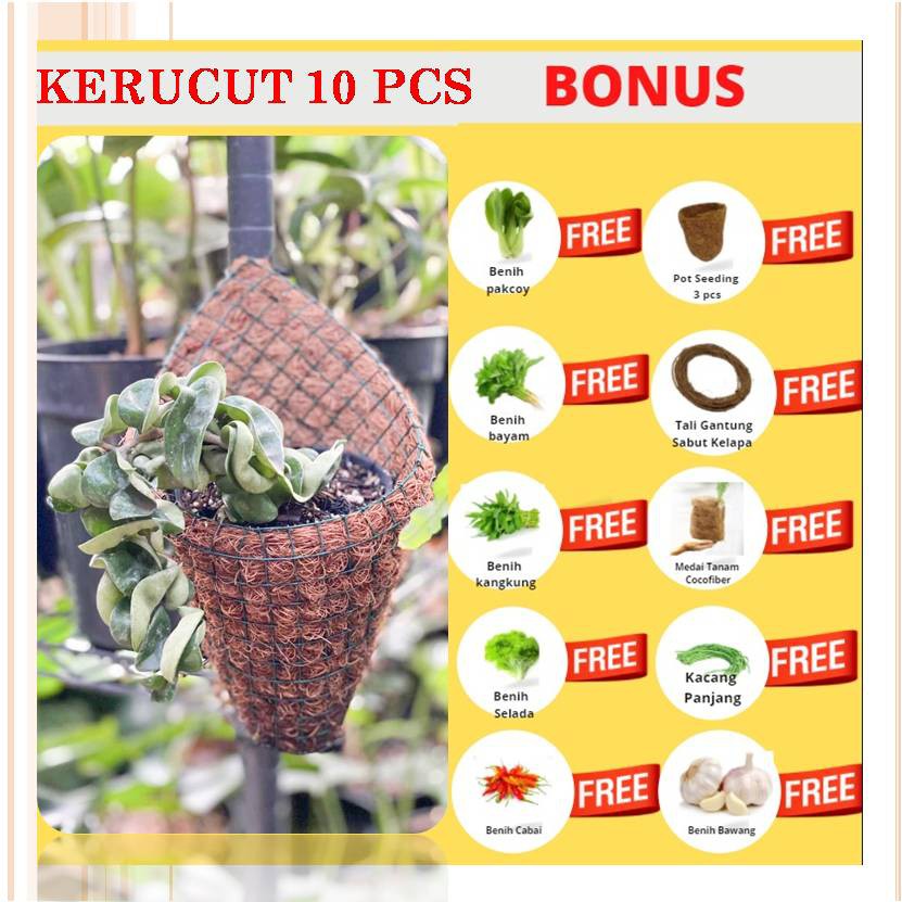 Paket Pot Serabut Sabut Kelapa Gantung Tempel Anggrek Kokedama Vas Bunga Cocofiber Media Tanam Murah
