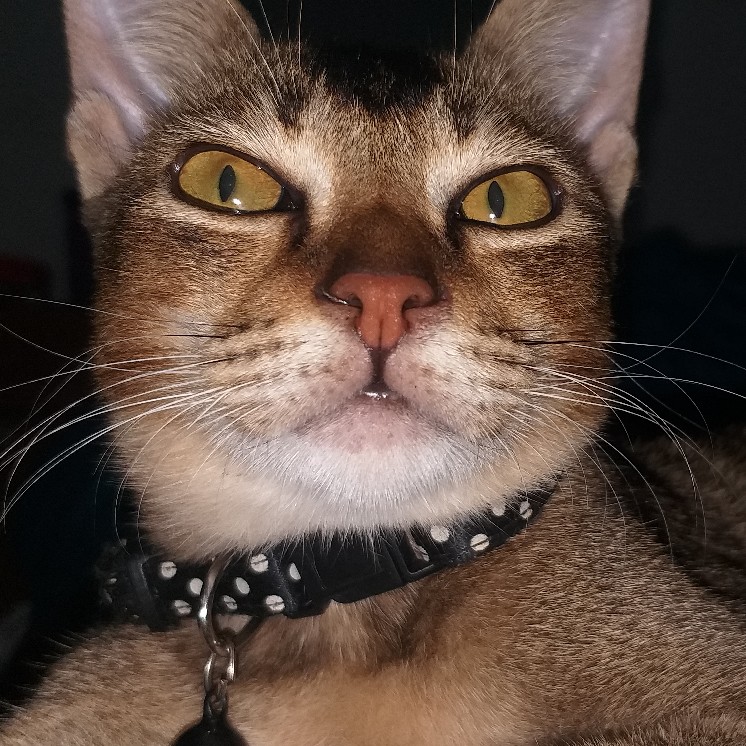 [arthesian] Blouse Batik Wanita - Tiara Batik Printing