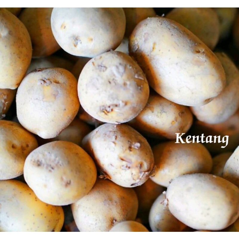 

kentang