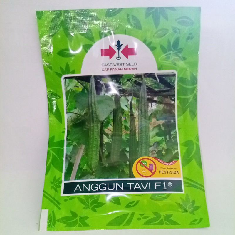 bibit oyong/gambas anggun tavi f1 75 butir