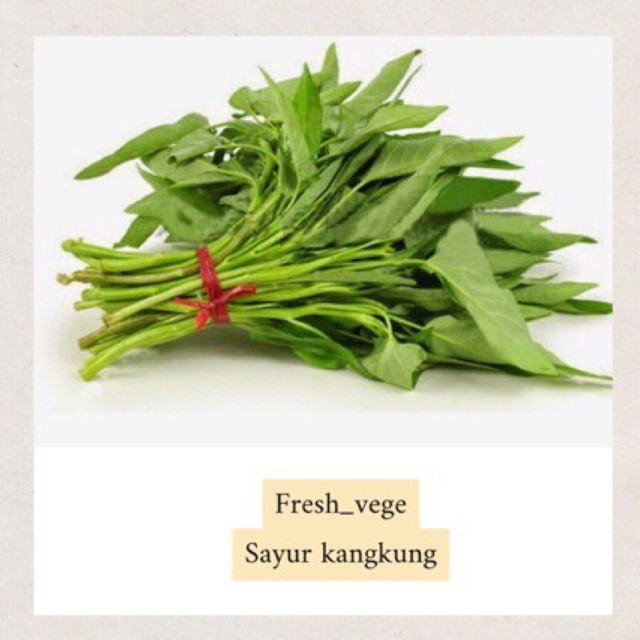 

kangkung