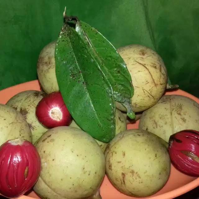 

BUAH PALA SEGAR 500 GRAM