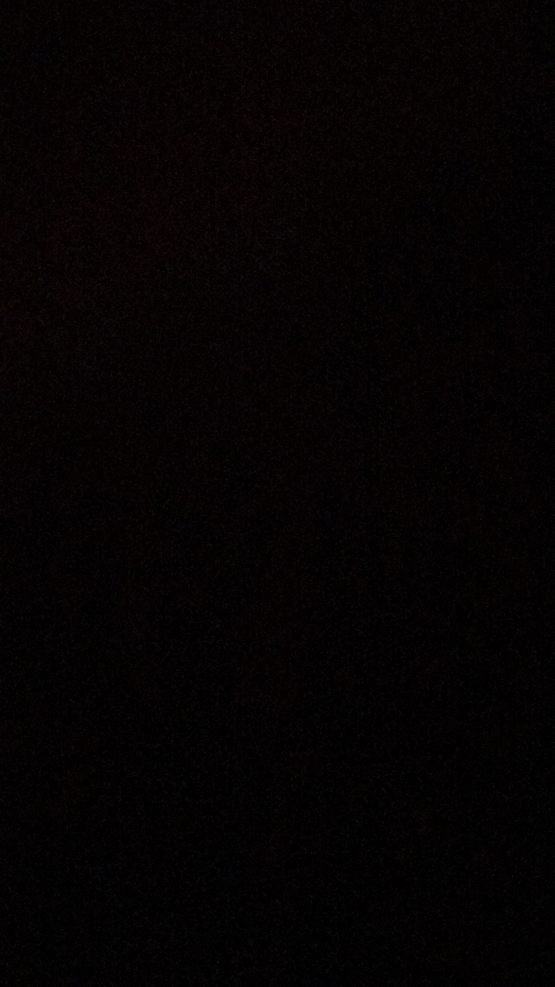 Satu Paket 3 Bibit Tanaman Buah Alpukat Markus 40-50cm Buah Besar Buah Jumbo