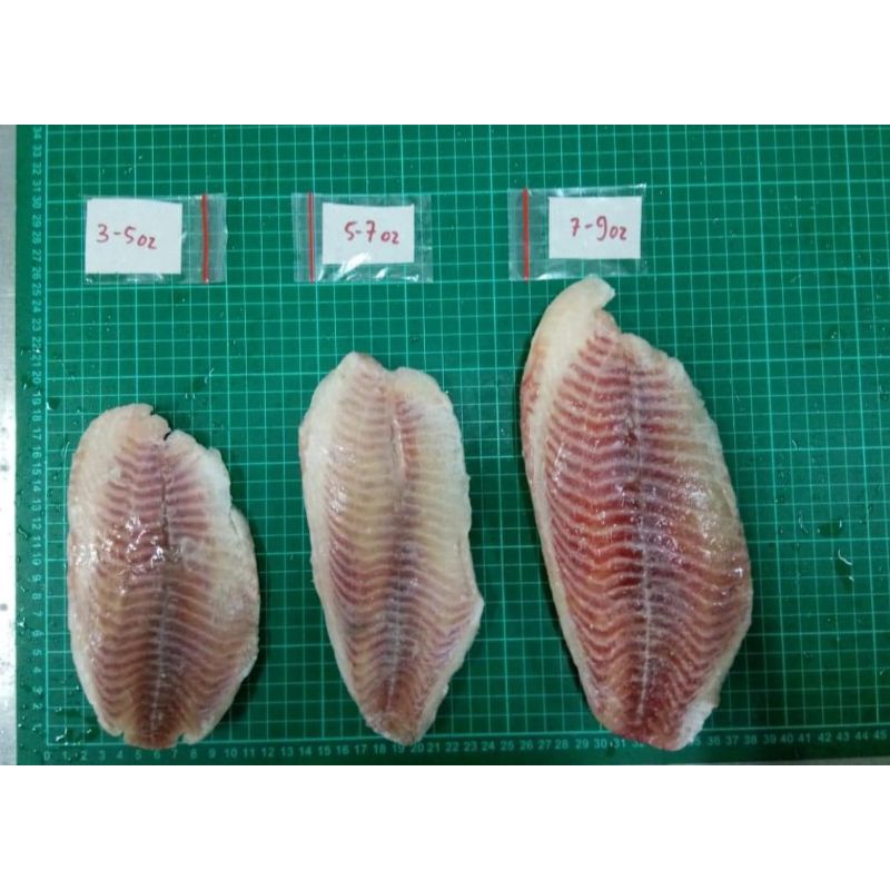 

Tilapia Fillet Best Seller A-Grade 3-5oz,5-7oz & 7-9oz