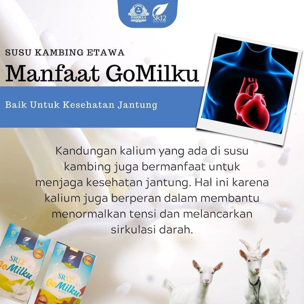 GoMilku SR12 Susu Kambing Etawa Bubuk Untuk Kesehatan Jantung Diabetes Darah Tinggi Vertigo TBC Paru - Paru