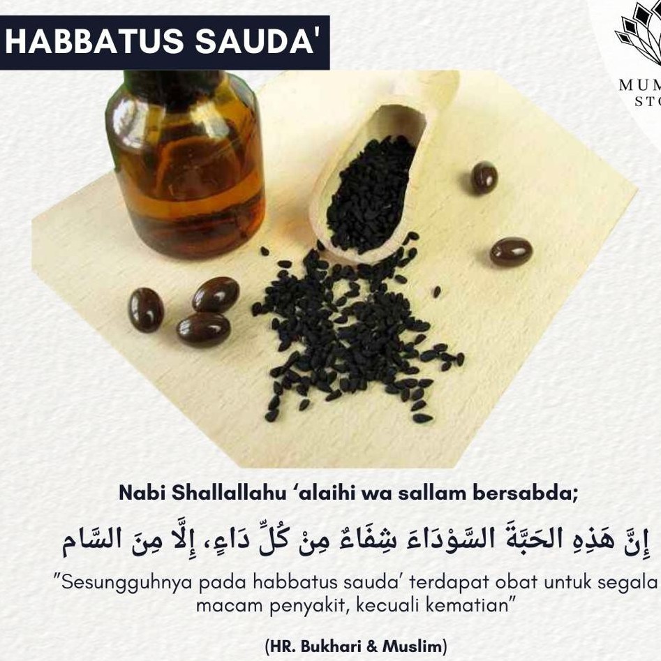 

HABBATUS SAUDA'