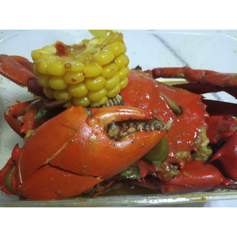 

Kepiting matang