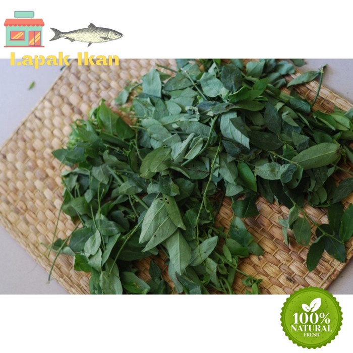 

Daun Katuk Segar Berkualitas - 1 Ikat