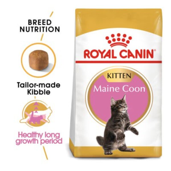 Royal Canin Kitten Maine Coon 400gr 400 gram Makanan Kucing Mainecoon