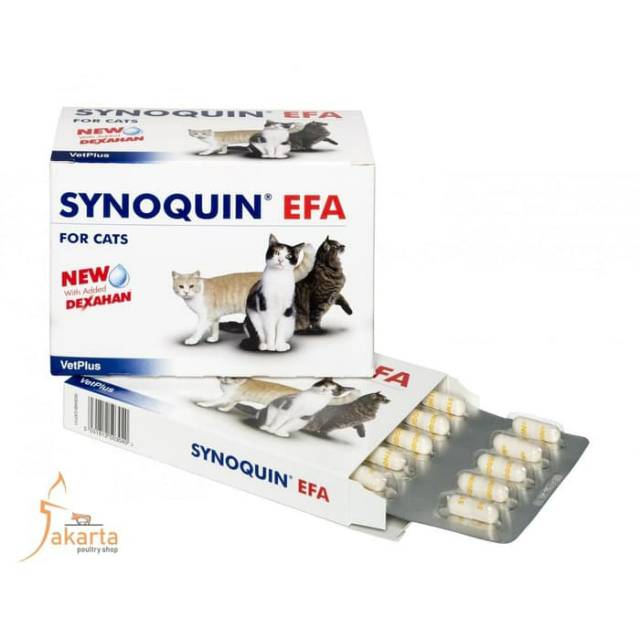 SYNOQUIN EFA (1 CAPSULE) | Suplemen Tulang|Sendi|Otot Kucing | Vitamin Kucing Terbaik Original