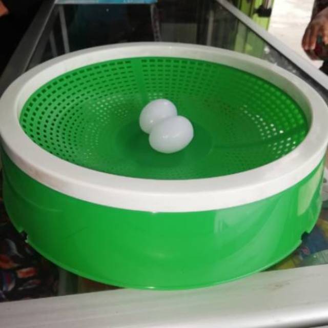 Petarangan burung merpati - sarang burung merpati