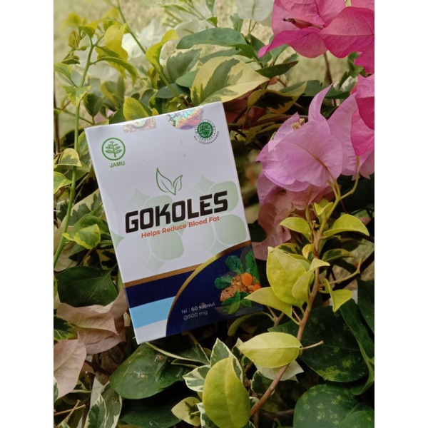 

Gokoles Herbal // Obat Herbal Kolesterol // Resmi SS JAya Group