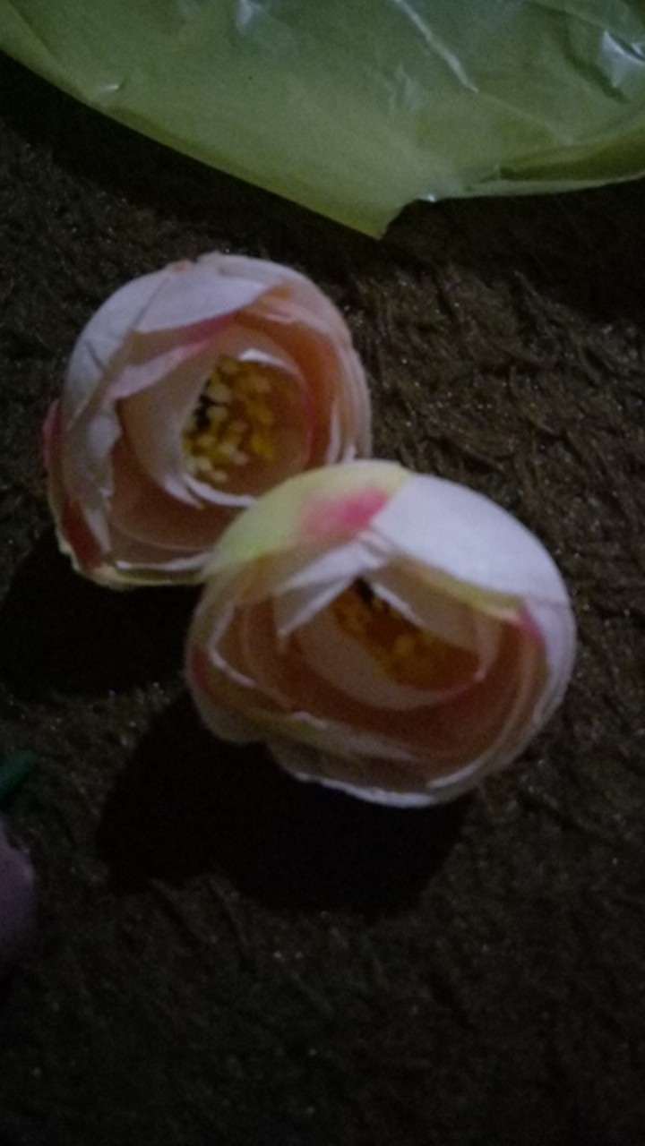Bunga Peony Mangkok Sedang