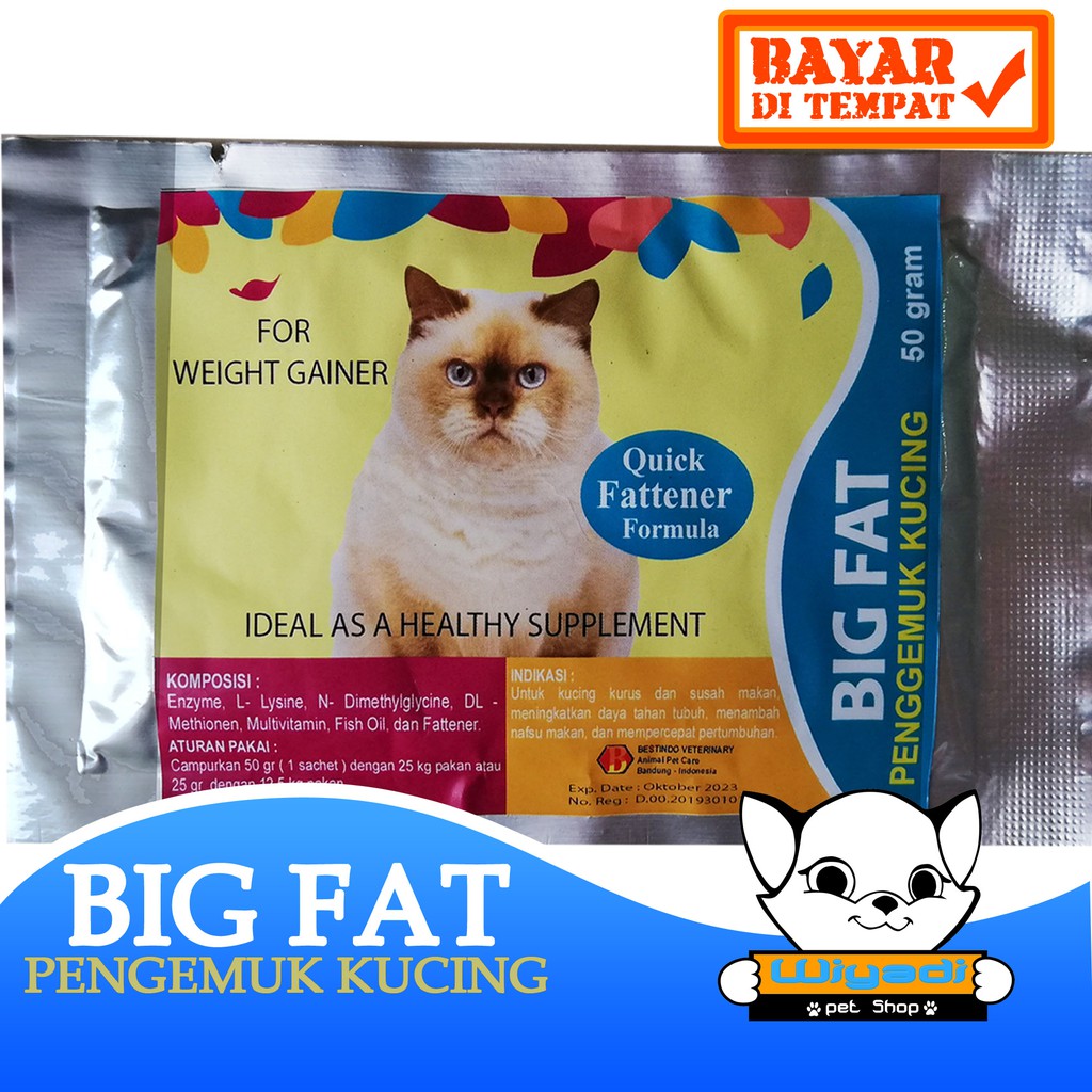 BIG FAT - Obat Suplemen Vitamin Penggemuk Penambah Napsu Makan Kucing Dan Kitten Kurus