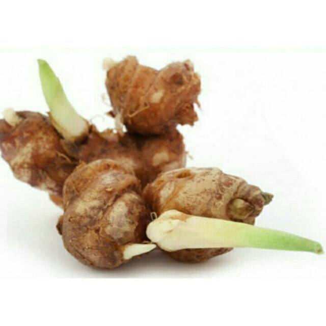 

Kencur segar 1kg