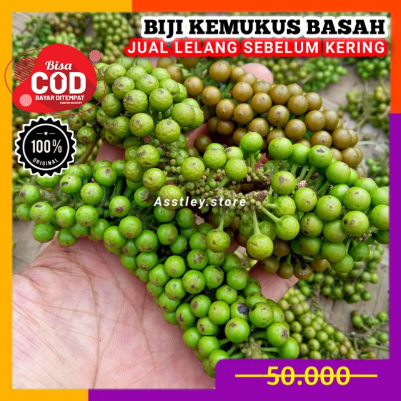 

Biji Kemukus Basah Segar Kemukus Tembaga Kualitas Terbaik
