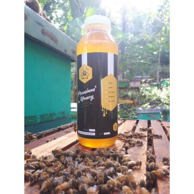 

Madu ZEIN"RANDU 650g 100%RAW