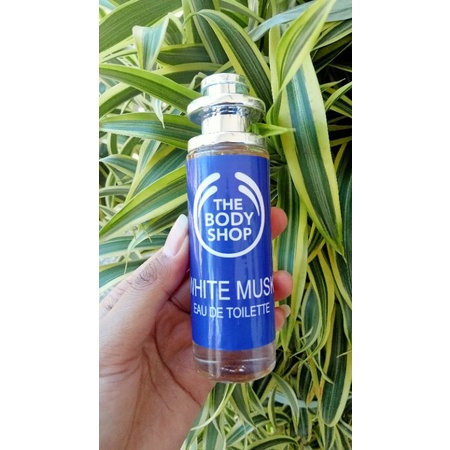 parfum Body white musk 35ml original termurah