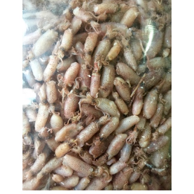 

Baby Cumi kering 250gr