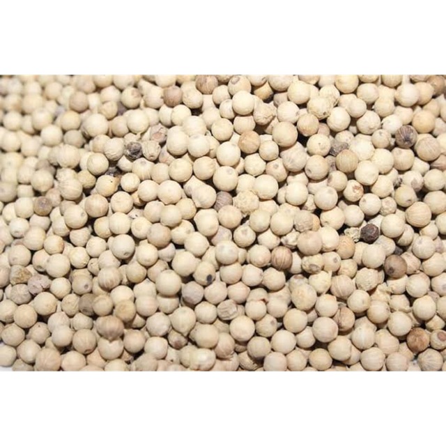 

LADA / MERICA SUPER PILIHAN