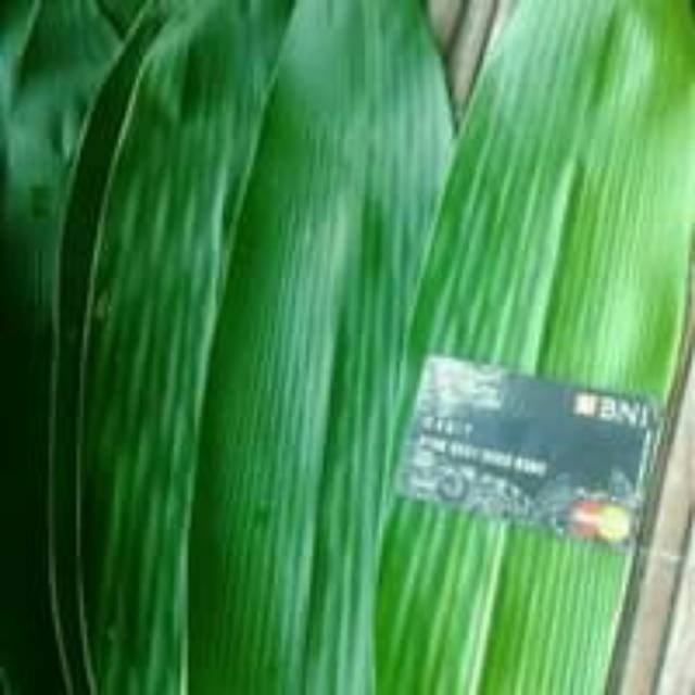 

200 lembar daun bambu / bambo lebar 10-12 cm fresh bahan bungkus bakcang