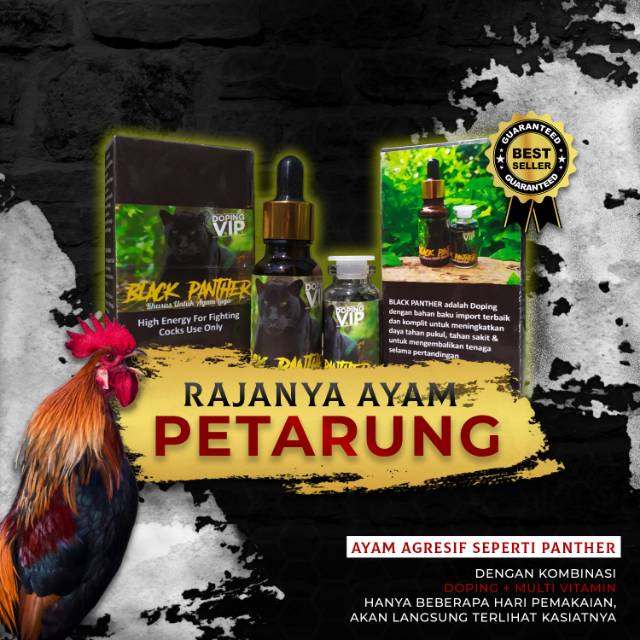 Doping Ayam Petarung Black Panther