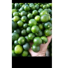 

jeruk kasturi/jeruk sonkit /jeruk untuk air kelapa muda