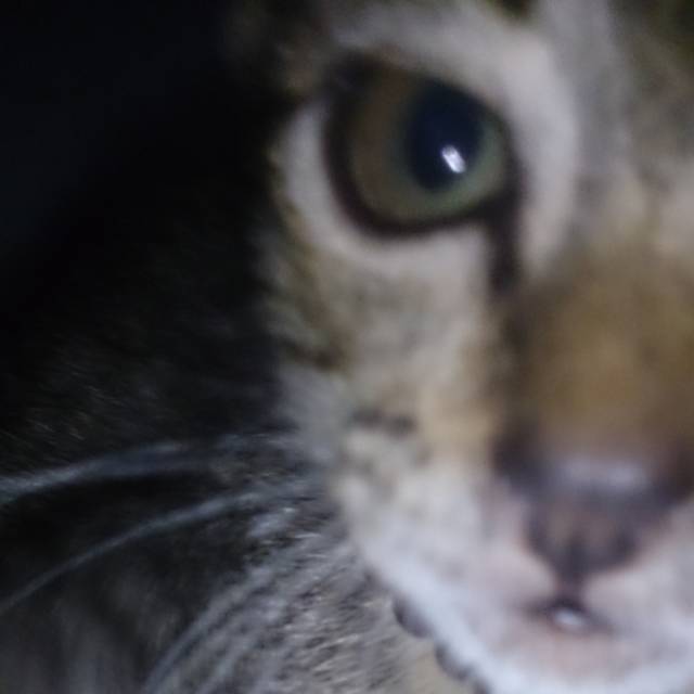 asuuuuuu7uuuuuuuuuuuuu