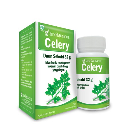

Promo Celery Berkualitas