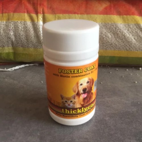 Vitamin Bulu Kucing Anjing Foster Coat Thicklyco Raid All Raidall