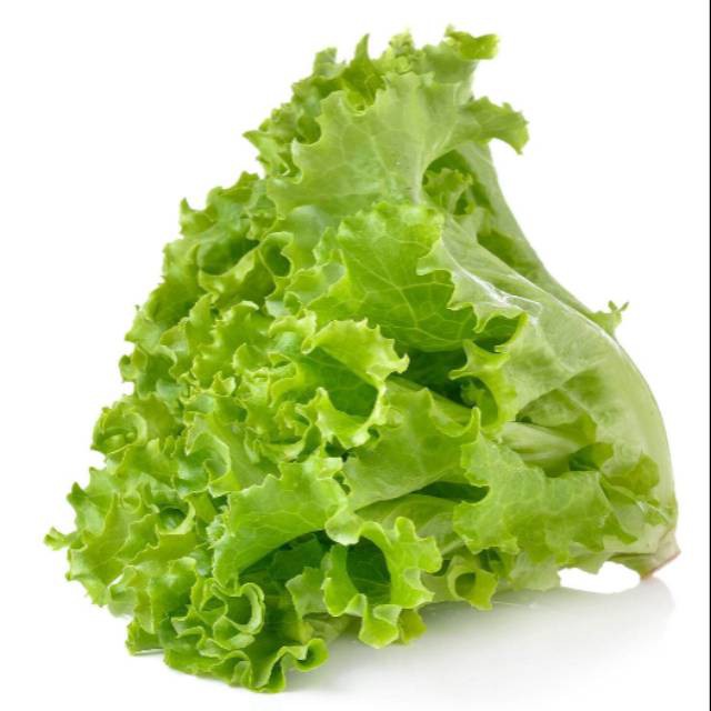 

Selada keriting ( salad ) / 250g