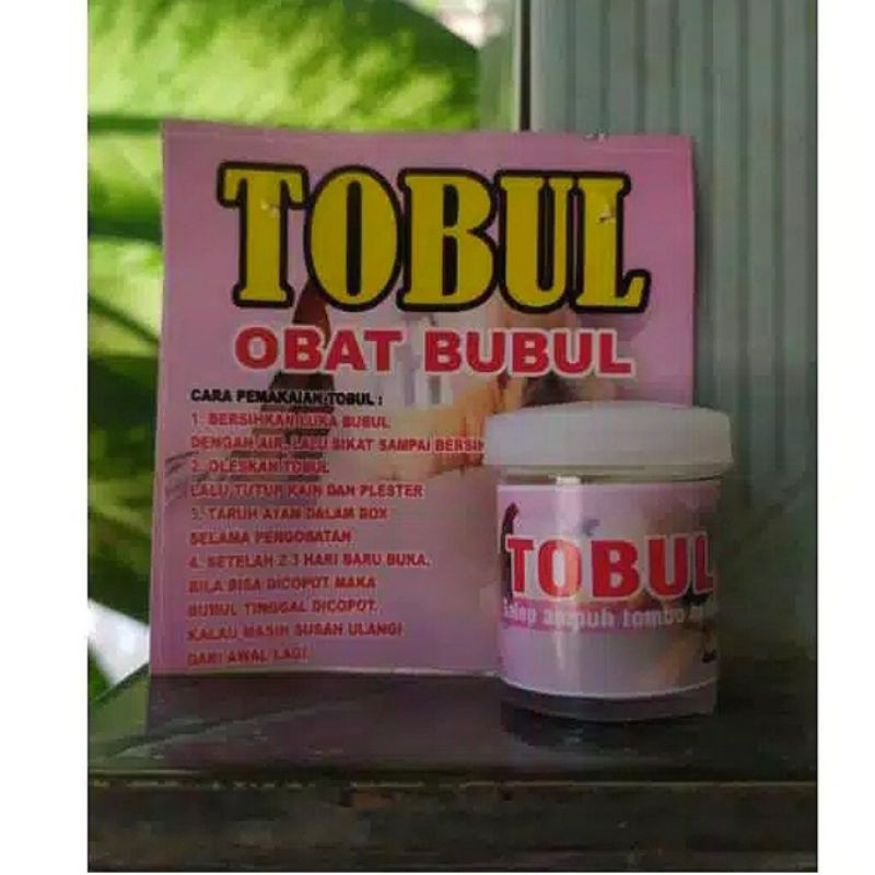 TOBUL OBAT SALEP BUBUL AYAM TOBUL ORIGINAL MENGOBATI KUTIL CAPLAK BUBUL