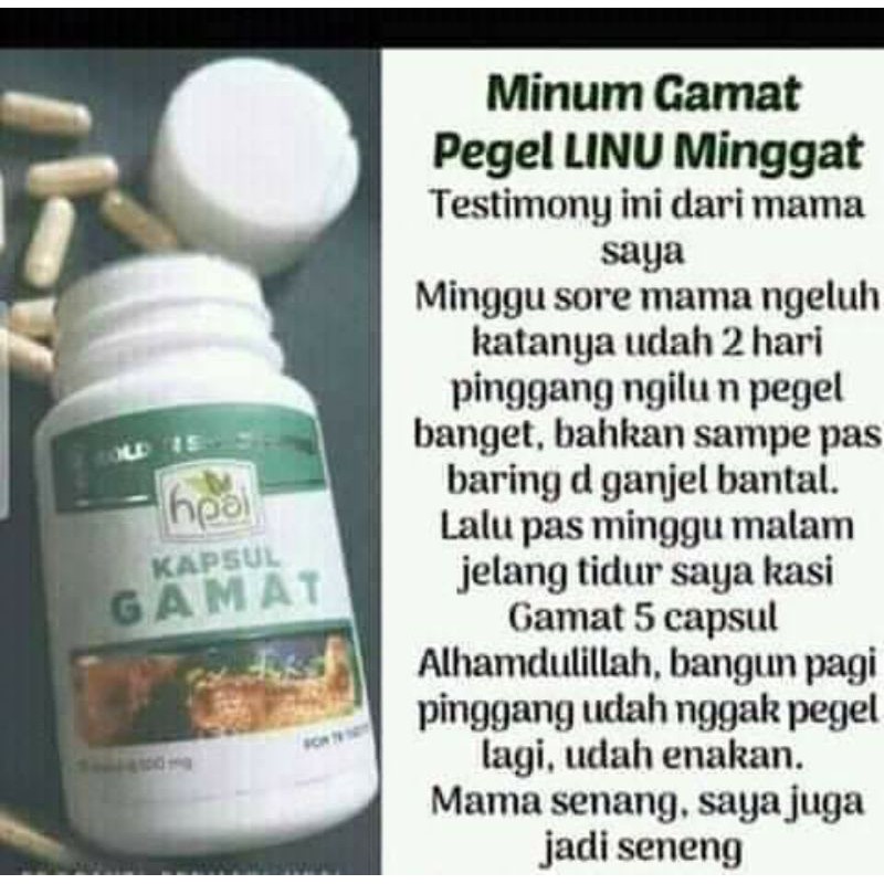 GAMAT Kapsul (Golden Sea Cucumber)