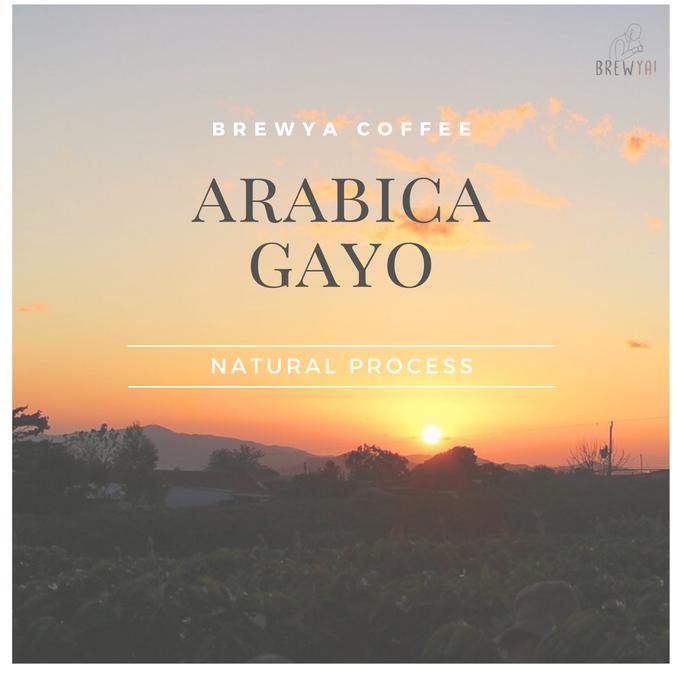 

BREWYA! GAYO NATURAL | Kopi Arabika 100% Kopi Gayo Asli 200 gram