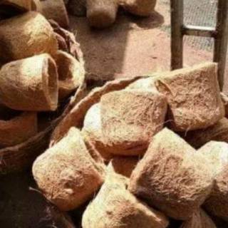  Pot  anggrek terbuat dari sabut  kelapa  kualitas terbaik 