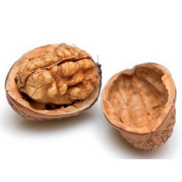 

Raw Walnut Kacang Walnut Mentah 1000gram - Kacang Otak atau Kenari Kiloan