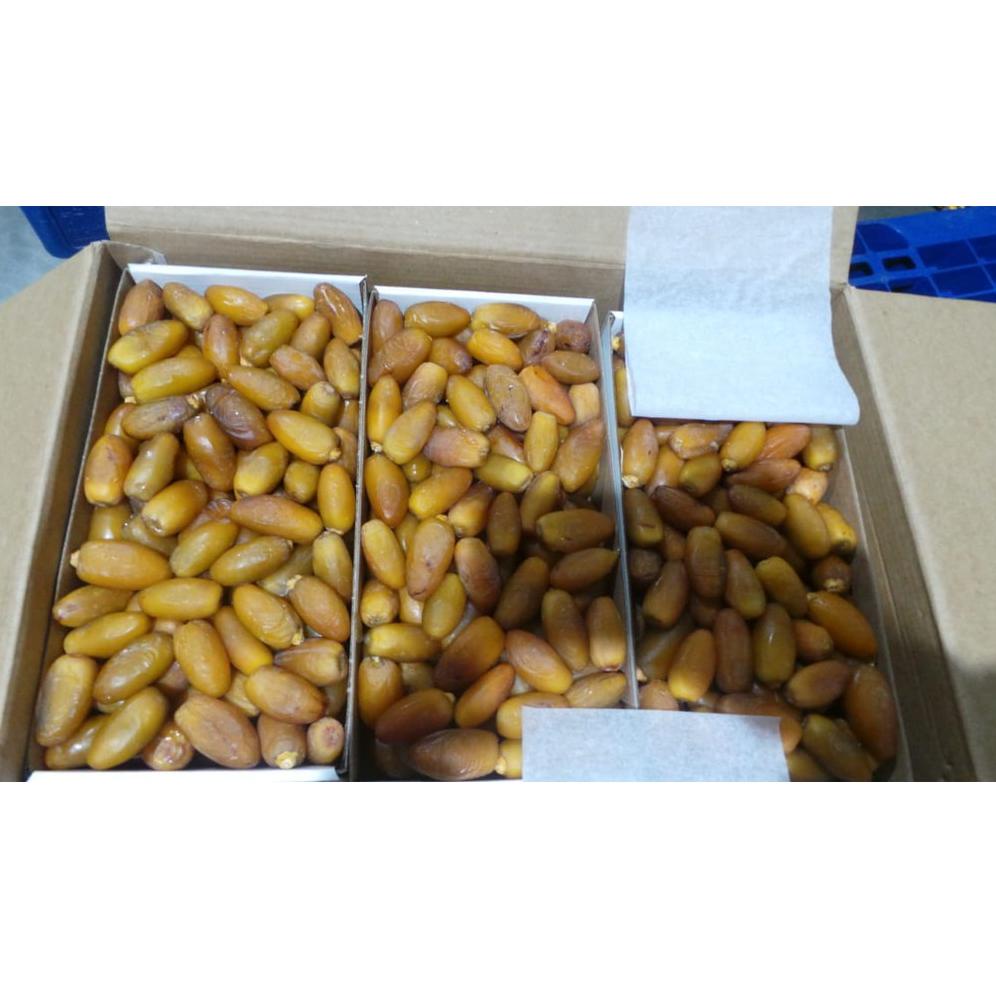 

[KODE PRODUK M8JMO8162] KURMA RUTHOB RAYYAN LIBYA TANGKAI / NO TANGKAI