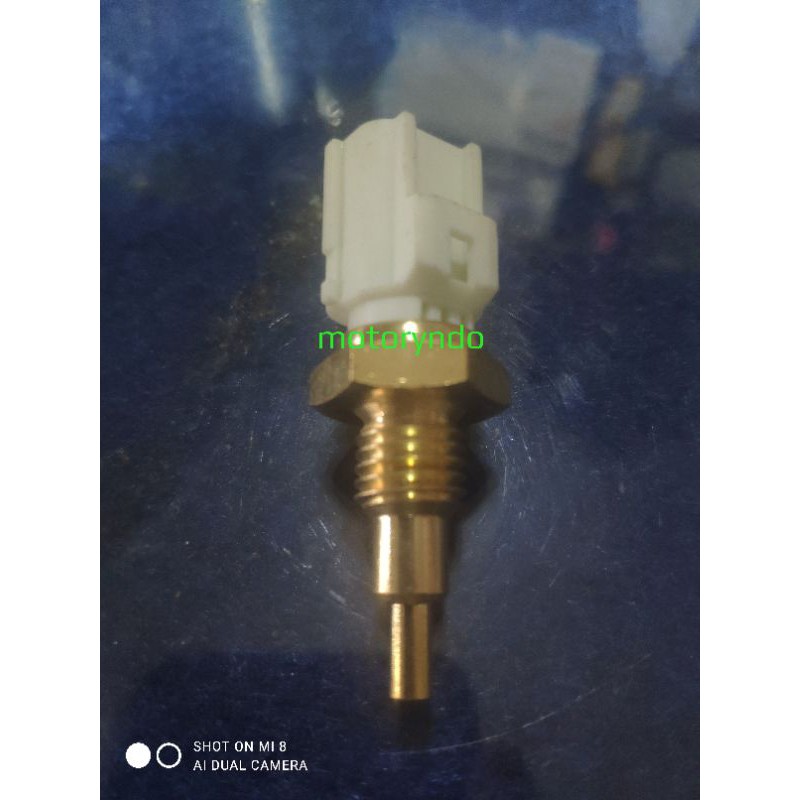 thermostat vixion/mx