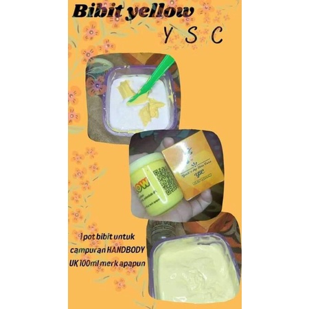 (Paket Hemat 6 pot 45gr) BIBIT YELLOW WAFIAA/YSC