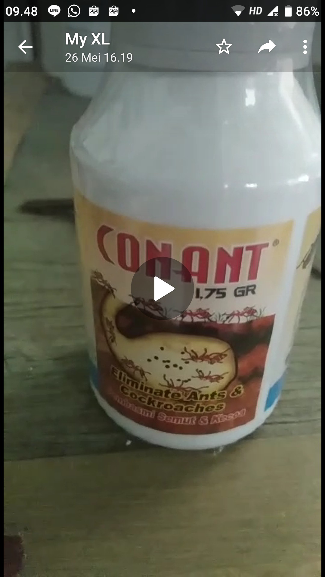 Kemut / Conant /  Racun Semut /racun Kecoa