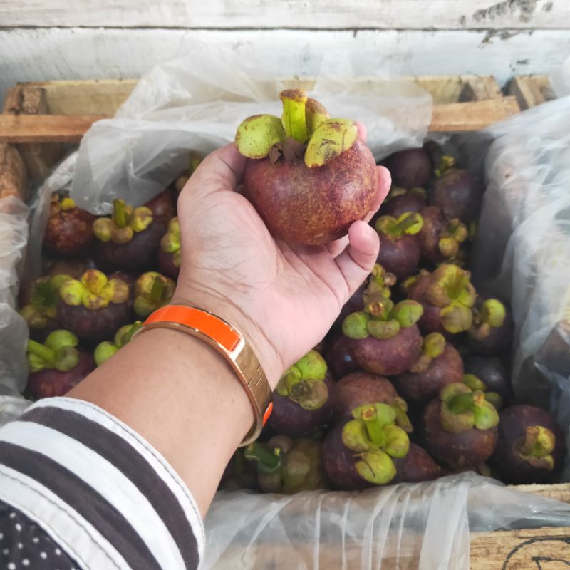 

manggis buah manis