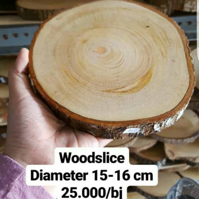 Wood slice potongan kayu  diameter 15 16 cm alas mahar 