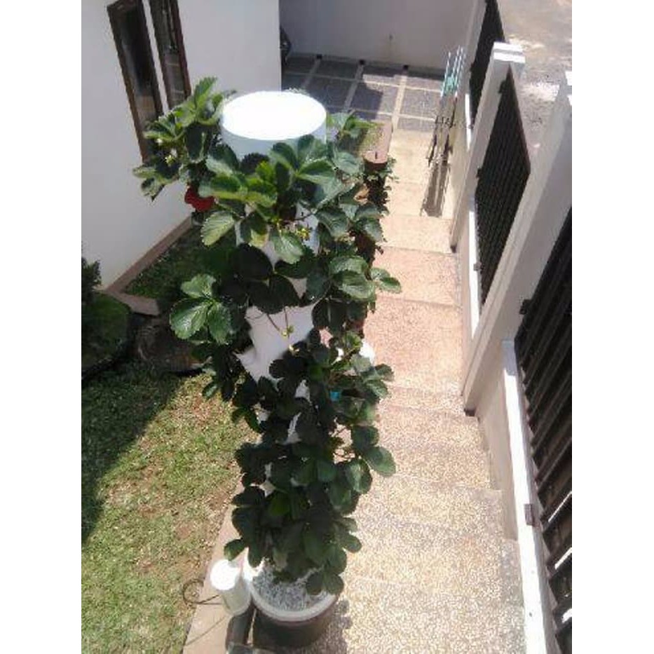 PERKEBUNAN/ TOWER HIDROPONIK VERTIKAL