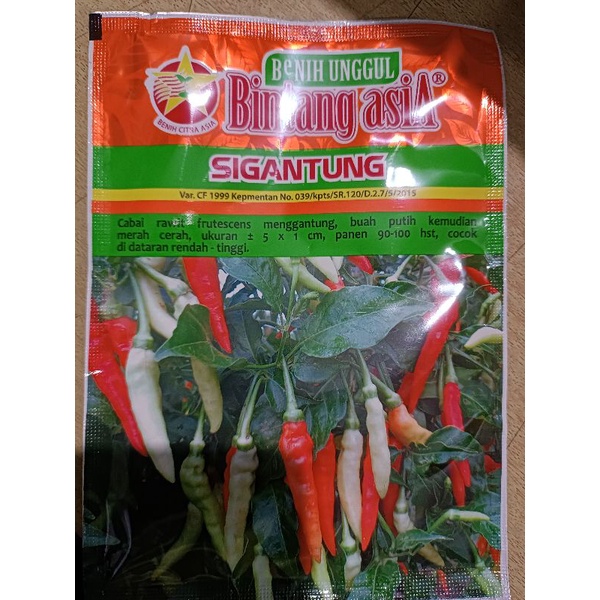 Benih Cabai Rawit Sigantung 10gram