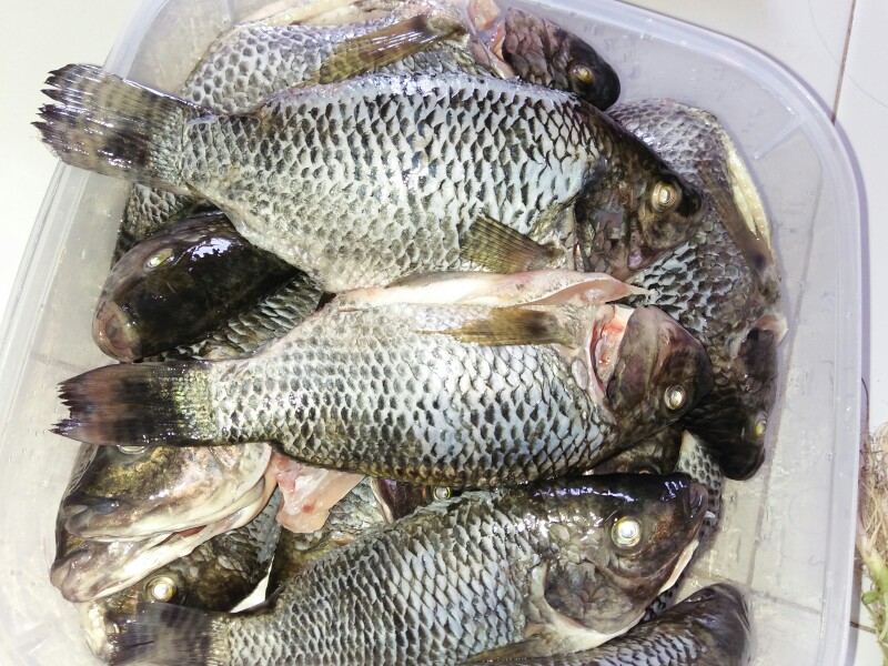 Rinso Deterjen Cair 12 Pcs