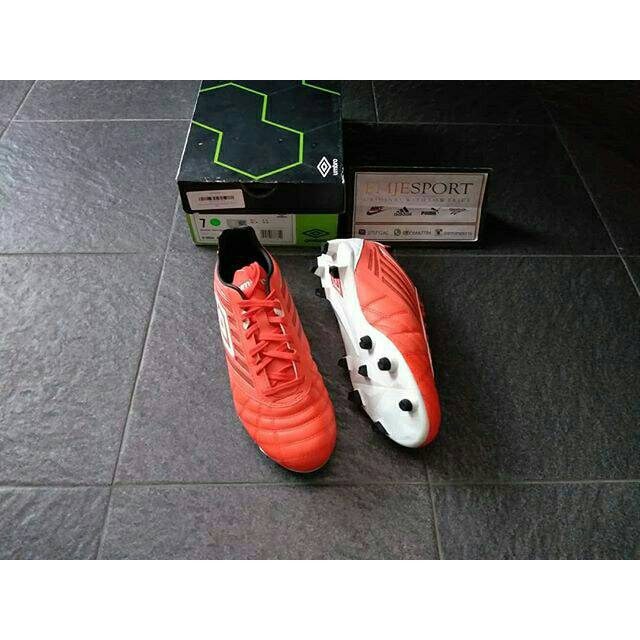 Umbro medusae hg