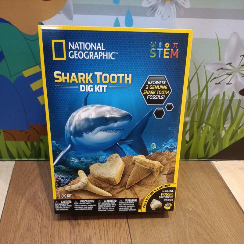 Jual NATIONAL GEOGRAPHIC Shark Teeth Dig Kit Shopee Indonesia